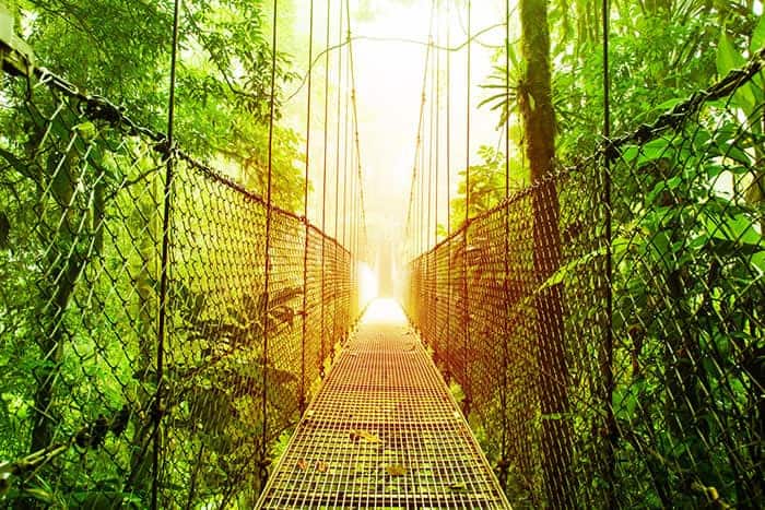 costa rica bridge