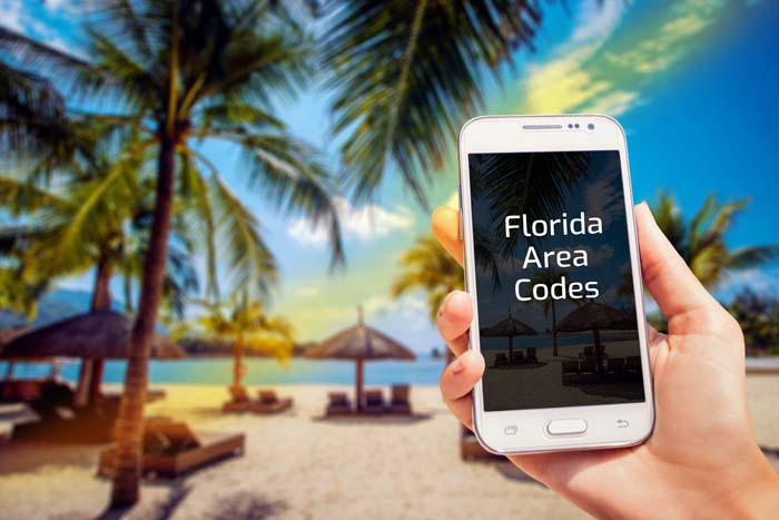 Florida area codes