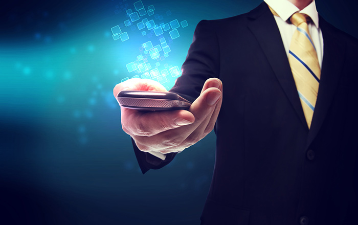 options for business phone service