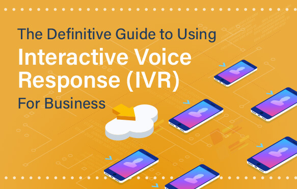 guide to IVR for business