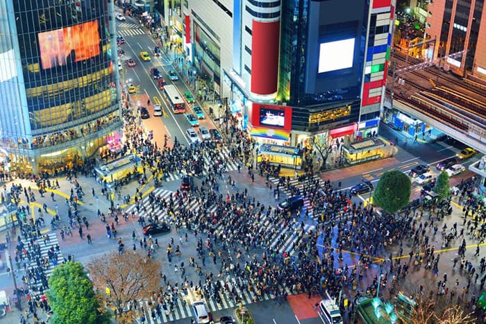 An image of local phone numbers in Tokyo streets.