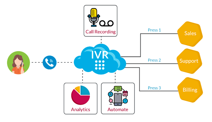 IVR cost guide 2022