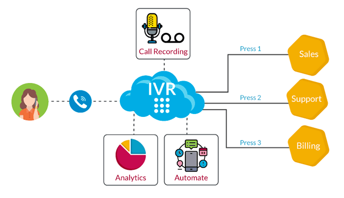 IVR cost guide 2024