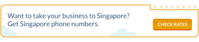 Singapore phone numbers and IMDA explained.
